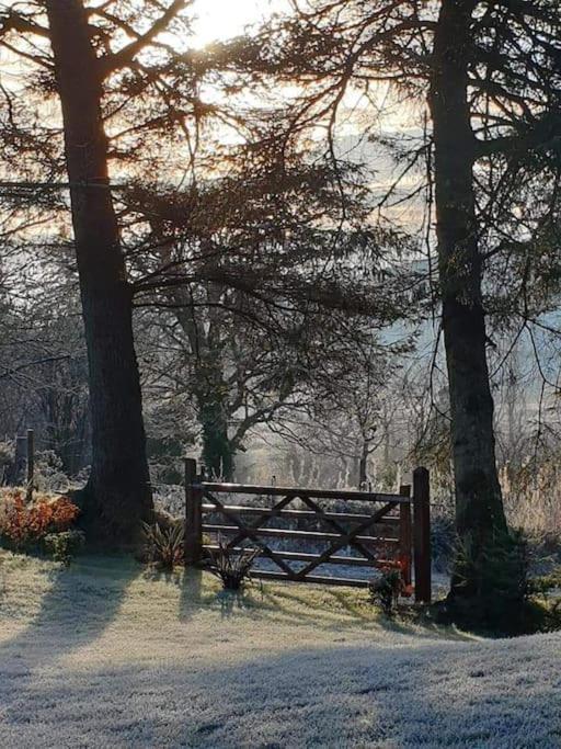 Holly Lodge เลตเตอร์เคนนี ภายนอก รูปภาพ